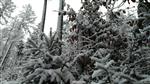 201812130904220002